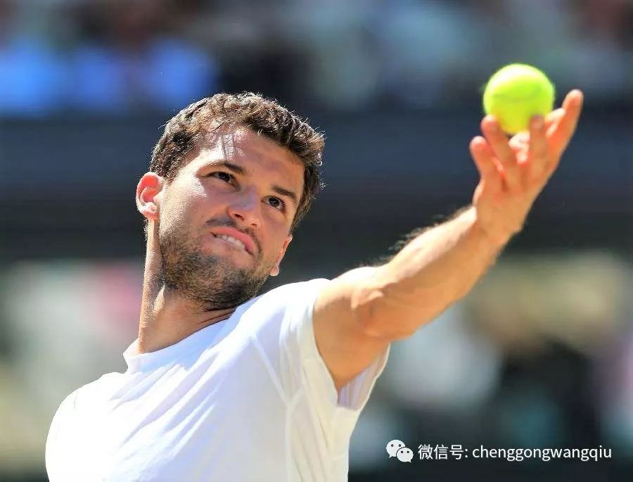 嗅觉使他在 嗅觉使他在